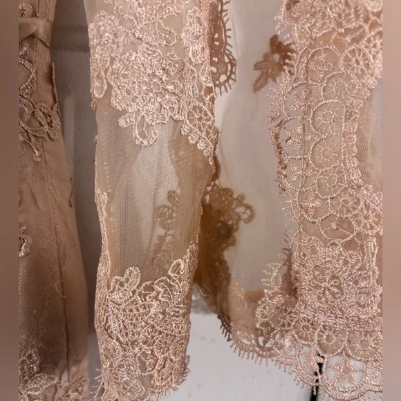 New Chiffon and Lace Evening Gown - Picture 4 of 11
